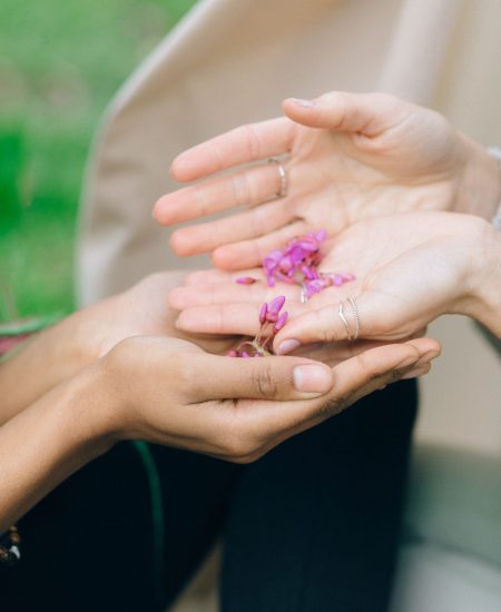 mains de femmes partageant des fleurs roses